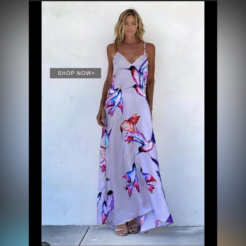 Ramona Larue Hummingbird Print Dress size M/L